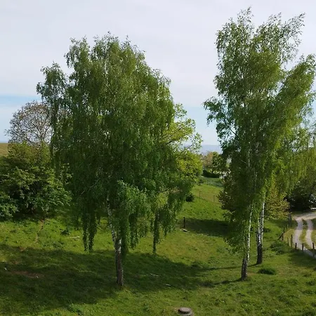 Traumblick Und Komfort - Lichtdurchflutete 85 Qm Nahe Südstrand Inklusive Schwimmbad Und Sauna Im Ahoi Sellin