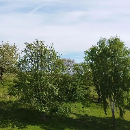 Traumblick Sellin: Spacious Beachside With Pool And Sauna Apartment