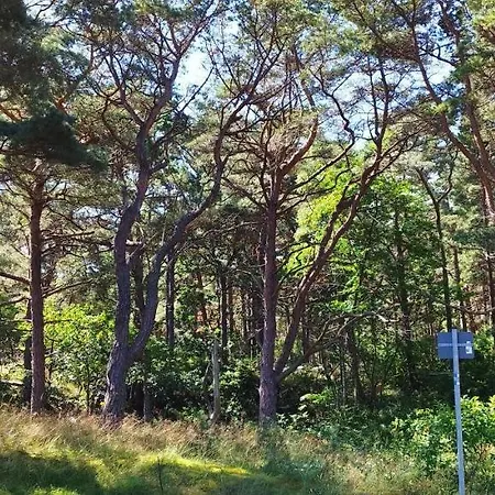 Apartamento Traumblick Und Komfort - Lichtdurchflutete 85 Qm Nahe Südstrand Inklusive Schwimmbad Und Sauna Im Ahoi Sellin