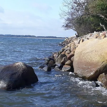 Traumblick Sellin: Spacious Beachside With Pool And Sauna Apartment