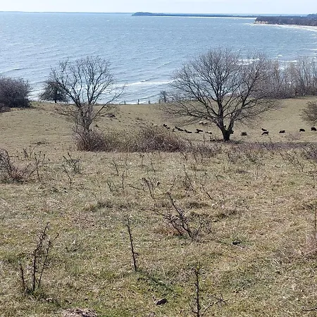 Traumblick Sellin: Spacious Beachside With Pool And Sauna Apartment *