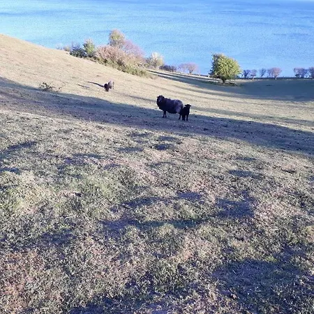 Traumblick Und Komfort - Lichtdurchflutete 85 Qm Nahe Suedstrand Inklusive Schwimmbad Und Sauna Im Ahoi Sellin Апартаменты Гёрен