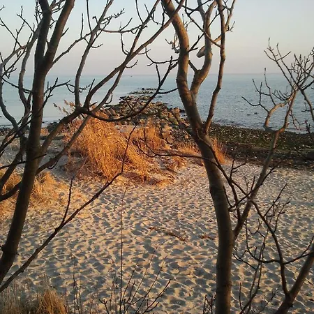 Traumblick Sellin: Spacious Beachside With Pool And Sauna Apartment