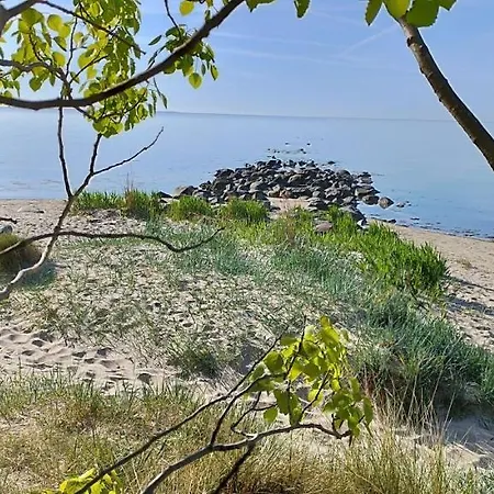 Apartment Traumblick Sellin: Spacious Beachside With Pool And Sauna