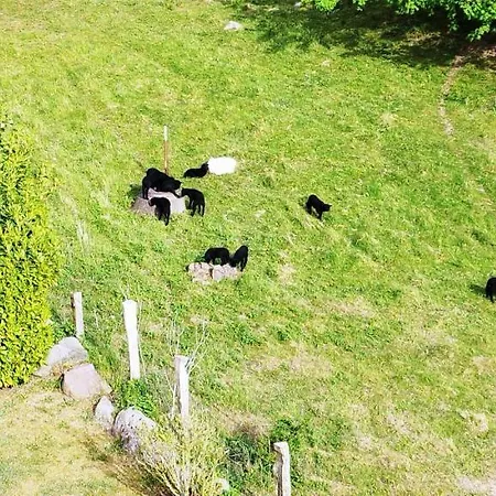 Traumblick Und Komfort - Lichtdurchflutete 85 Qm Nahe Südstrand Inklusive Schwimmbad Und Sauna Im Ahoi Sellin Apartamento