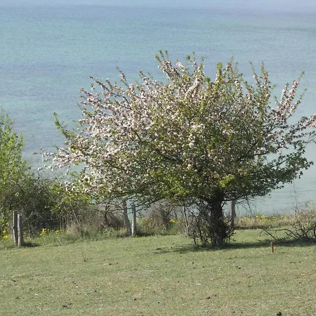 Διαμέρισμα Traumblick Und Komfort - Lichtdurchflutete 85 Qm Nahe Suedstrand Inklusive Schwimmbad Und Sauna Im Ahoi Sellin